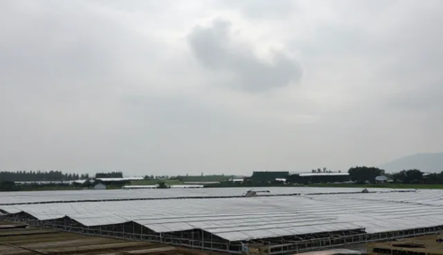 财税合规诊断服务如何提升企业效率